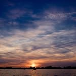 rezajaberi1167 profile picture