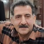 rezashirkoshian profile picture