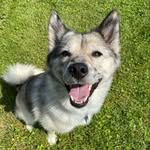 rhea_2018 profile picture