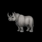 rhino_ profile picture