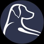 rhoback profile picture