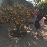 rhubarbandrose profile picture