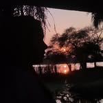 ri_c_ha_17 profile picture