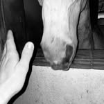 riccardo.raspa profile picture