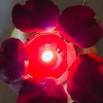 richu_patel96th profile picture