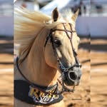 ricksteell profile picture