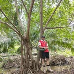 rickypurnomo9 profile picture