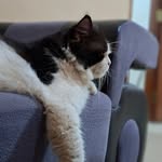 ricodwnd_ profile picture
