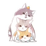 riepoyonn profile picture