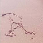 rihab__225 profile picture