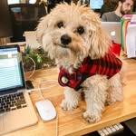 rileyinthenyc profile picture