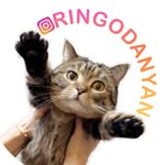 ringodanyan profile picture