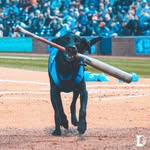 ripkenthebatdog profile picture