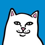 ripndip.jp profile picture