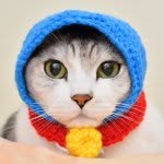rippy0916 profile picture