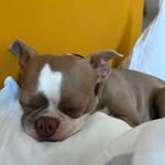 riri_enninful profile picture