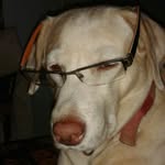 rishi426344 profile picture