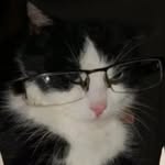 rishikasarwan_7 profile picture