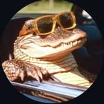rishikesh_v_pillai profile picture