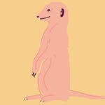ritalazzarotti profile picture