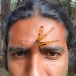 riverbankstudios profile picture