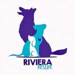 rivierarescue profile picture