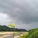 riya__15_17 profile picture
