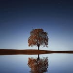 riya___saha123456 profile picture