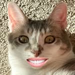 rizzston profile picture