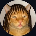 rltylfe profile picture