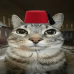 rlyytho profile picture