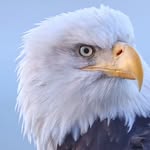 roadies_hub_ profile picture