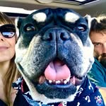 roadogmadeline profile picture