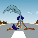 road_runner_rj profile picture
