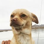 roadsidepaco profile picture