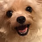 robert.flores.129142 profile picture