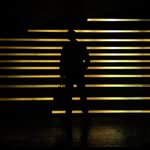 robertspearson profile picture