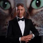 robertverdi profile picture