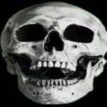 robihk746 profile picture