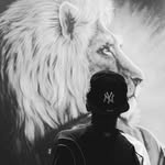 robinhojr profile picture