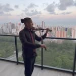 robinsonviolino profile picture