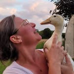 robintouchet profile picture