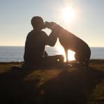 robkugler profile picture