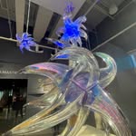 robsternartglass profile picture