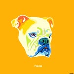 rocco.thompson profile picture