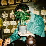 roccokopecny profile picture
