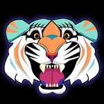 rocknrollaspodcast profile picture