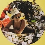 rockpapervissers profile picture