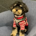 rockyeinstein_ profile picture