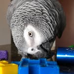 rocky_n_co profile picture